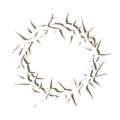 3 nails